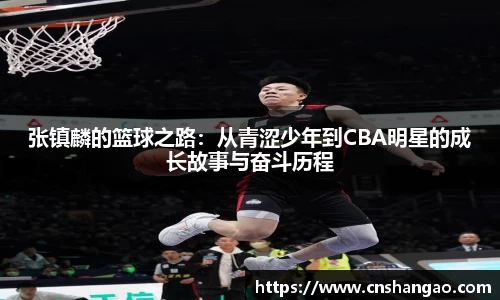 zoty中欧体育