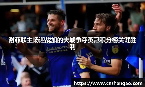 谢菲联主场迎战加的夫城争夺英冠积分榜关键胜利