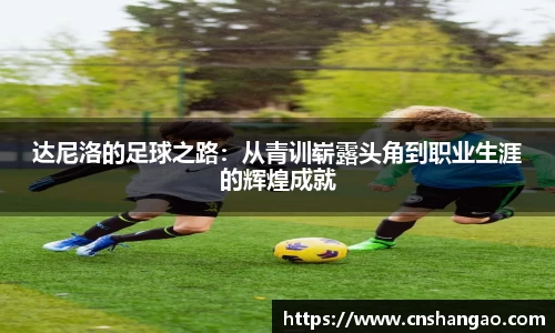 达尼洛的足球之路：从青训崭露头角到职业生涯的辉煌成就