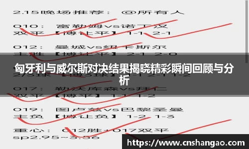 匈牙利与威尔斯对决结果揭晓精彩瞬间回顾与分析