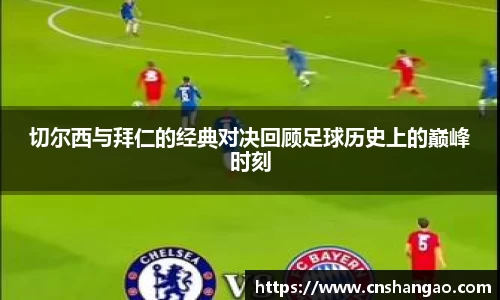 zoty中欧