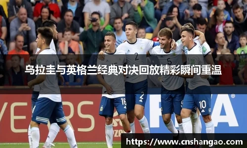 zoty中欧体育官方网站