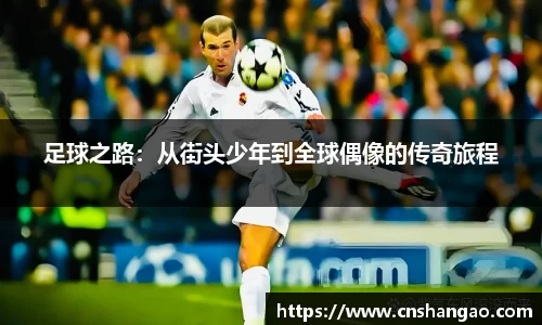 zoty中欧体育官方网站