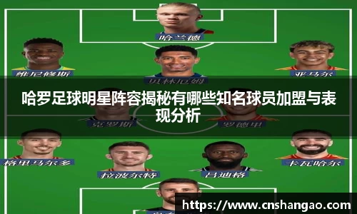 哈罗足球明星阵容揭秘有哪些知名球员加盟与表现分析