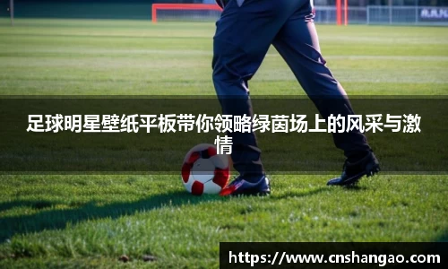 足球明星壁纸平板带你领略绿茵场上的风采与激情